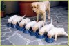 dinnertime.jpg