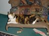 DSC01210.jpg
