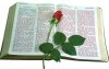 Cross & Bible 04.jpg