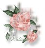 %252525252D%252525253D%252525252DpeachroseWelcomeHEHsnag5.jpg