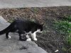 IMG_20130716_072056.jpg