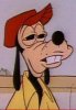 GoofyFace.jpg