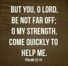 IMG_20150221_051535.JPG