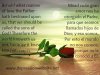 inspirational-bible-quotes-Jhon-3-1.jpg