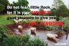 Do-not-fear-little-flock_725_484_80.jpg