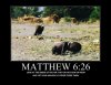 matthew626.jpg