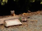 IMG_4767.jpeg
