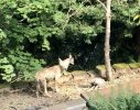IMG_3929.jpeg