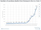 Fentanyl.jpg