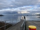 PortOrchardDockSeattle2024.jpg