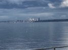PortOrchardSeattle2024.jpg