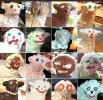 Animal Cakes 2024.jpg