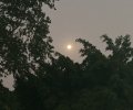 IMG_1274.JPG