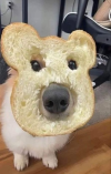 1740661536763.png