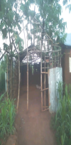 LSM of Uganda 6.png