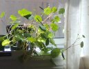IMG_20250430_113547.jpg