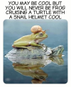 1746380422274.png