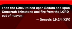 IMG_2697.jpeg