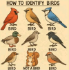 1748183591435.png