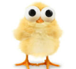 1749555866586.png