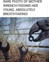 1749567374003.png