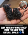 1752003904601.png