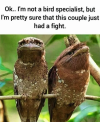 1752425513460.png