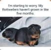 1756215467270.png