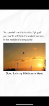 1756242152974.png