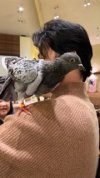 Sage's Bird 2025.JPEG
