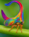 1757708326715.png