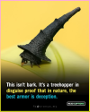 1757708513171.png