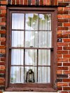 lamp in the window.JPG