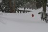 IMG_2959.jpeg