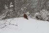IMG_2985.jpeg