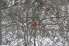 IMG_2995.jpeg