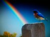 100_7296.JPG