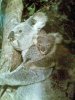 Copy of My pix mixture 145.jpg