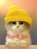 34b800fdce708bd58339657df874eba2_1000-images-about-thank-you-cat-thank-you-clipart_700-944.jpeg