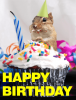 a_b_day13-e5ce499744d4be8aca93d390e06e03ab.png
