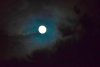DSC_2378_05.JPG