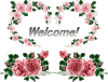 109b0ef06b3830545de92a1368165b25.gif