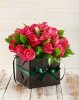 images (12).jpg