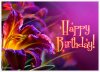 birthday-12.jpg