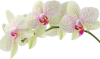 cd748ad950caba81481d99b4df3c8e6b_f3906.png