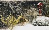 298B1F82-076A-45A0-8ABB-72C550DB0421.jpeg