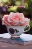 74010022d0ae00a01d150ee59fc92190--beautiful-roses-rose-petals.jpg