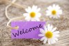 20108442-a-purple-banner-with-welcome-on-it-and-flowers-in-the-background-Stock-Photo.jpg
