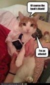Atheist Cat.jpg