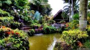 schnebly-redlands-winery-paradise.jpg